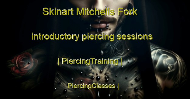 Skinart Mitchells Fork introductory piercing sessions | PiercingTraining | PiercingClasses | SkinartTraining-United States